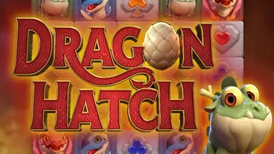 dragon hatch